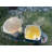 King Kooker Mr. Outdoors Cookout 2 Burner Stove
