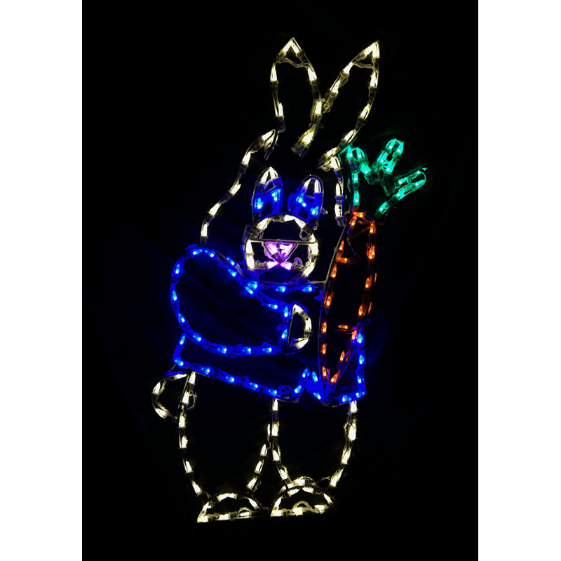 Curieux lapin avec carotte