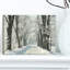 «Country Road Entre Foggy Trees», photographie-34275621-34275651