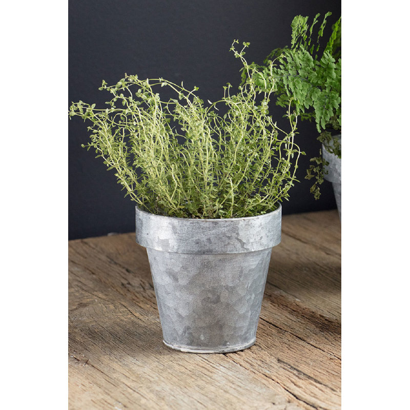 Pot de fleurs en zinc Sanjuana, H 5,5 po x l 5,5 po x P 5,5 po