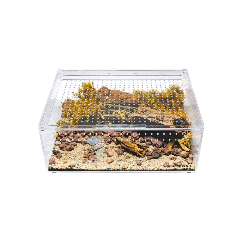Acrylic Reptile Terrarium, 5 Gallon - 6"H x 16"W x 12"D