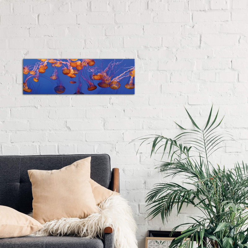 A Bloom Of Jellyfish by Panoramic Images - Wrapped Canvas Panoramic Print, 121.92 cm H x 40.64 cm W x 3.175 cm D