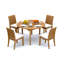 Lagos Outdoor 5 - Piece Teak Dining Set
