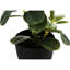 Plante artificielle 2, 14 po de hauteur - Charmantes décorations d'intérieur 2 plantes de verdure en pots noirs