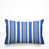 Bleuet des champs