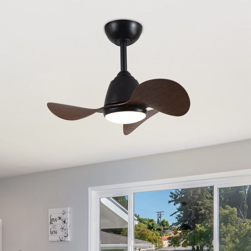 Ventilateur de plafond lumineux en bronze antique avec télécommande à 3 pales Cian
