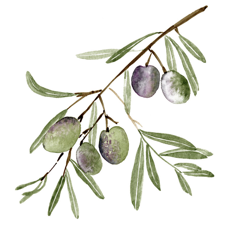 Olive Branch I by Melissa Wang - Wrapped Canvas Painting, 122cm H x 122cm W