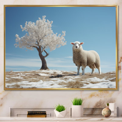 " Sheep Minimalist Solitude "