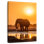 Brampt African Elephant At Sunset