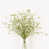 White selected