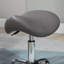 Alpheus Adjustable Height Lab Stool-926463195