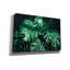 «Tropical» par PhotoINC Studio-1673457844