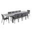 Aleki 10 - Person Patio Dining Set with Extendable Rectangular Table-628997171