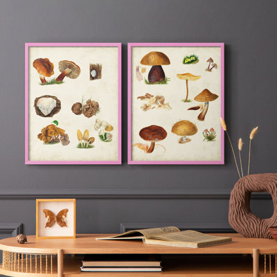 Reproduction encadrée de champignon I-Premium - prêt à être accroché - aucun clou requis - aucun clou requis