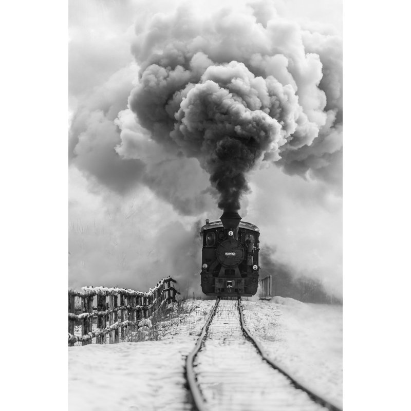 Wrapped Canvas Print, 50.8 cm H x 76.2 cm W