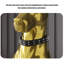 Décorations pour chien moderne et luxueux-243004617