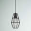 Luminaire suspendu en forme de lanterne à 1 lumière Whittman