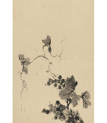 « wine raisin vine », reproduction d’art