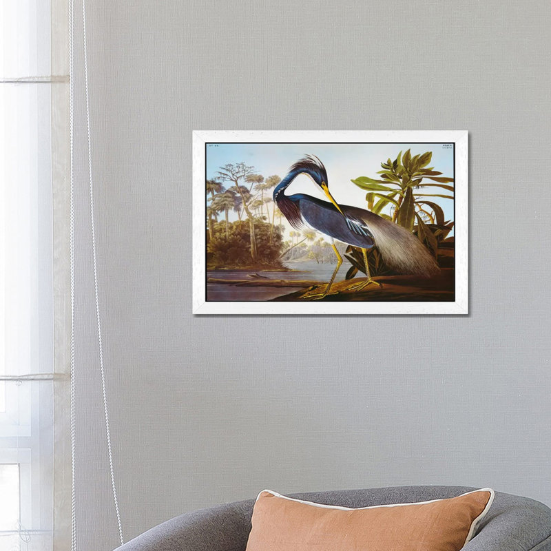 Louisiana Heron From "Birds Of America" by John Audubon - Painting on Canvas, 101.6 cm H x 66.04 cm W, White Framed