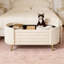 Banc de rangement rembourré Modern-1845499260