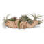 Faux Succulent Plant in Wood Pot