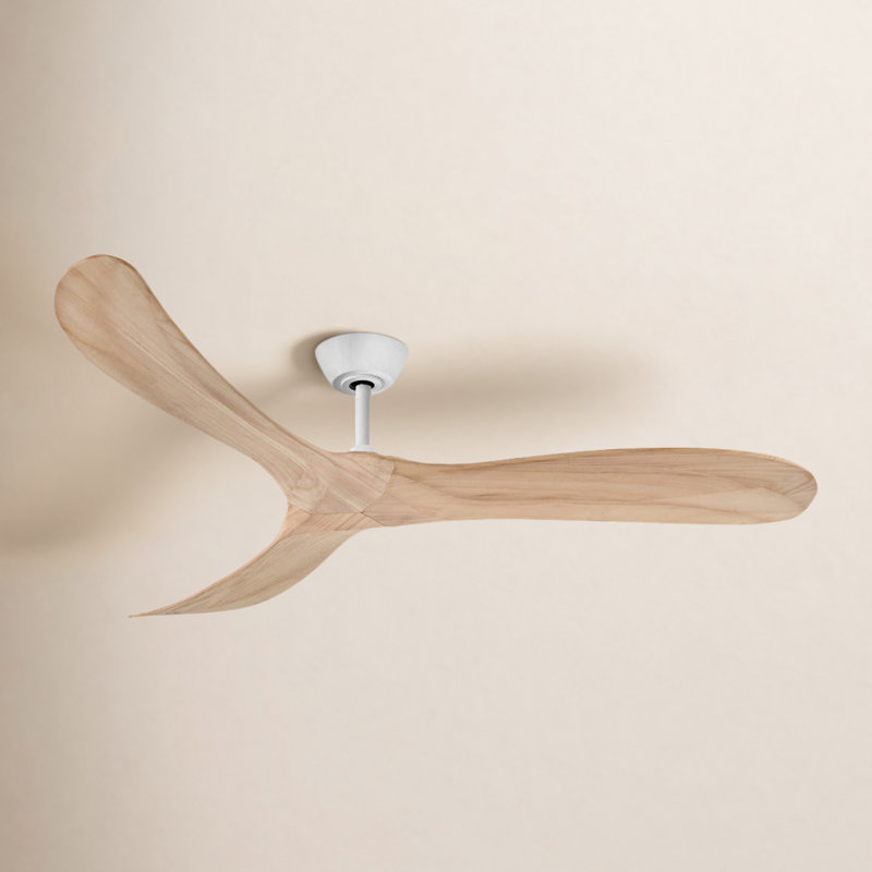 Ventilateur de plafond Bronn, 60"