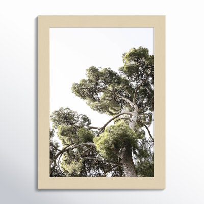 Reshma "Japanese Garden 01" Print