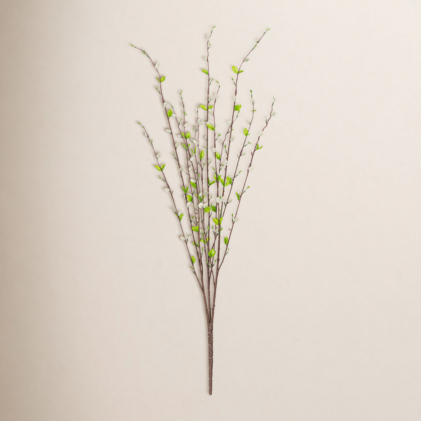 Willow Stems