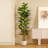Adcock  Artificial Fiddle Leaf Fig Tree with Realistic Leaves and Natural Trunk, Potted Tree-212896211