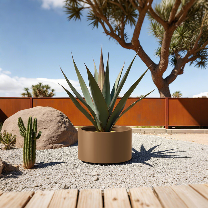 Ensemble de lit de jardin surélevé robuste en acier Corten, H 15,5 po x l 12 po x P 15,5 po, Brun