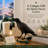  Raven Pulg in Table Lamp Gifts LED Resin Novelty Lamps Desk Light-6447997