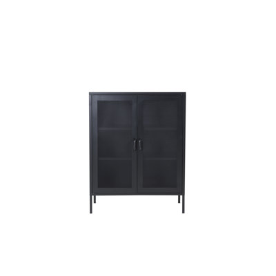 Dirit 2 Door Storage Cabinet