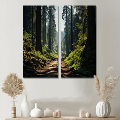 «Forest Redwood National Park III», ensemble de 2 reproductions d'art traditionnelles sur toile