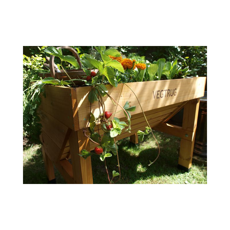 Classic VegTrug - Natural (FSC 100%), Small