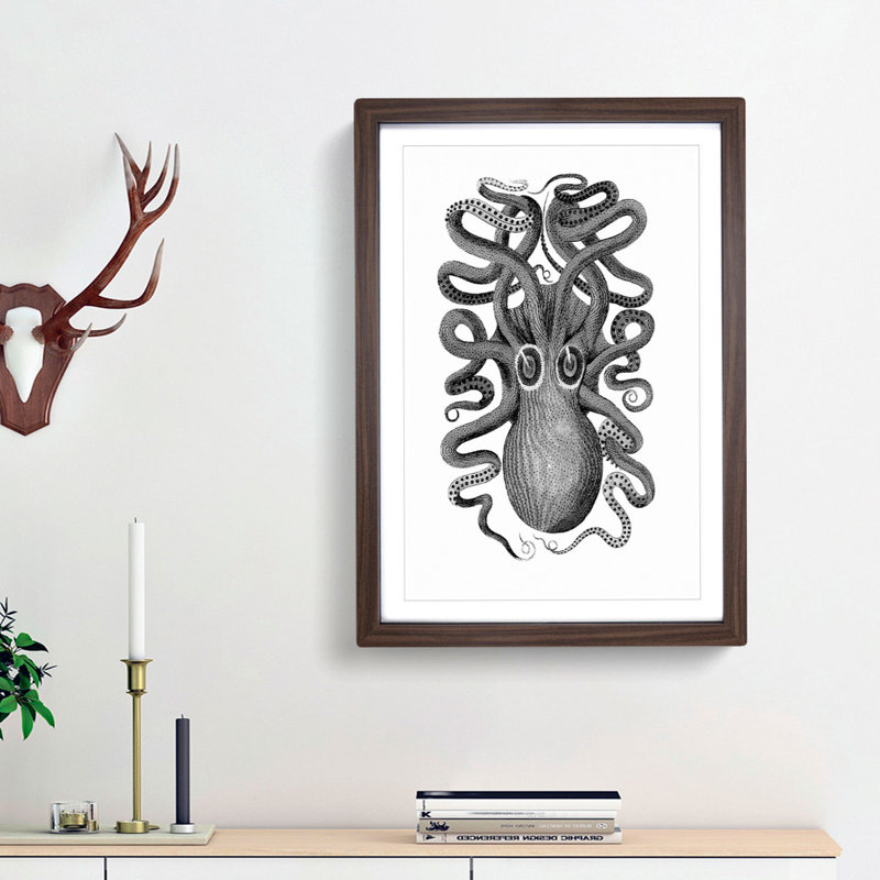 Octopus in Black and White by George Shaw - Picture Frame Drawing Print on MDF, Walnut Framed, 48cm H x 36cm W x 2cm D