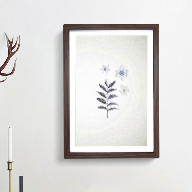 White Daffodil Dismantled - Framed Print, Walnut Framed, 48cm H x 36cm W x 2cm D