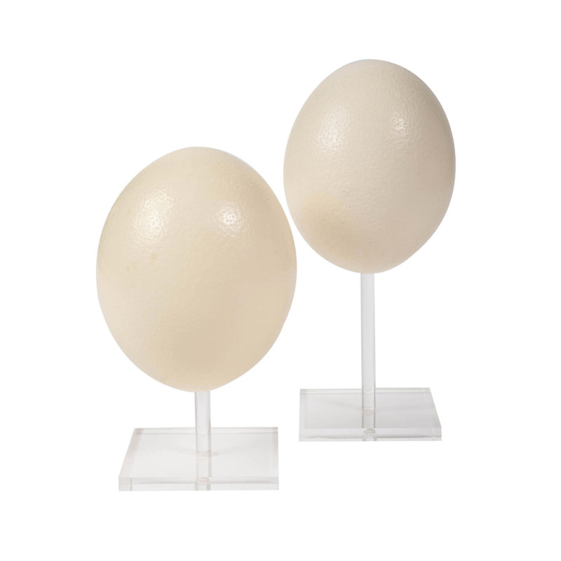 Genuine Egg