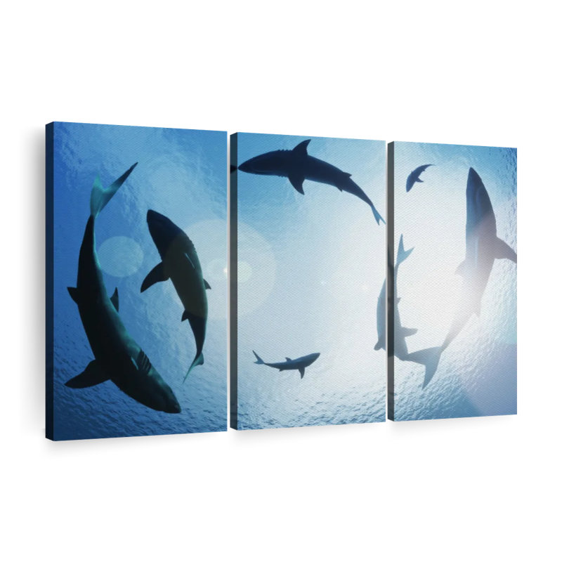 «School Of Sharks» sur toile, H 24 po x l 38 po