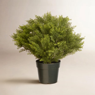 The Holiday Aisle® 28" Globe Juniper Tree