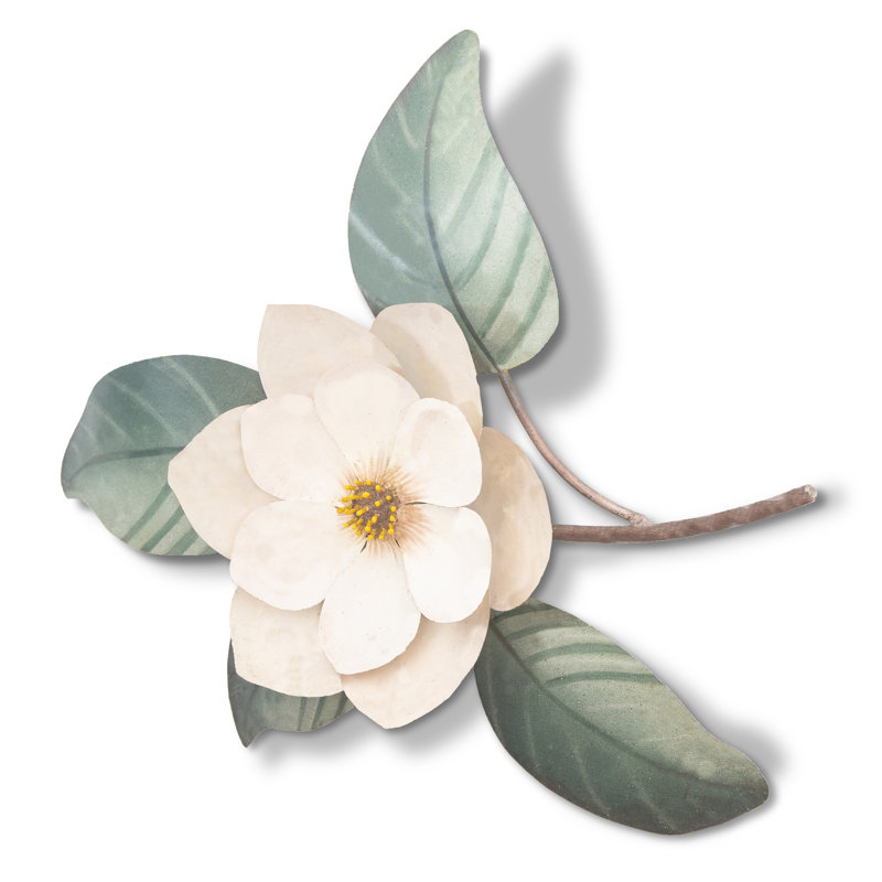 Magnolia