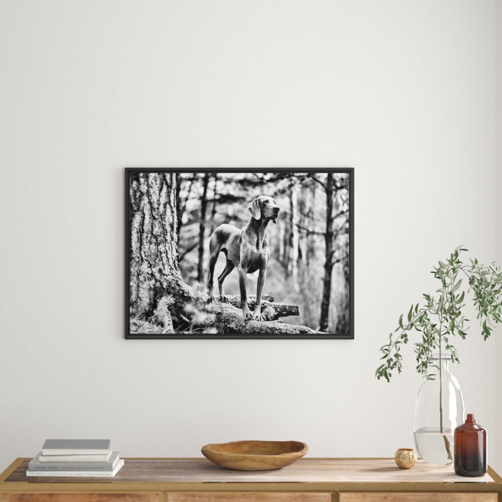 Gerahmtes Wandbild Edler WeimaranerWald