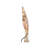 9.65'' Astrology & Stars Lighted Tree Topper