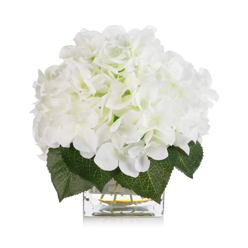 Arrangement d'hortensias dans un vase, Crème