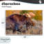 Plaque murale «Bull Moose At Dusk» par Shelley Carlisle-1659595354