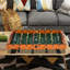 Watson Freeport Park 84.5cm L Foosball Table
