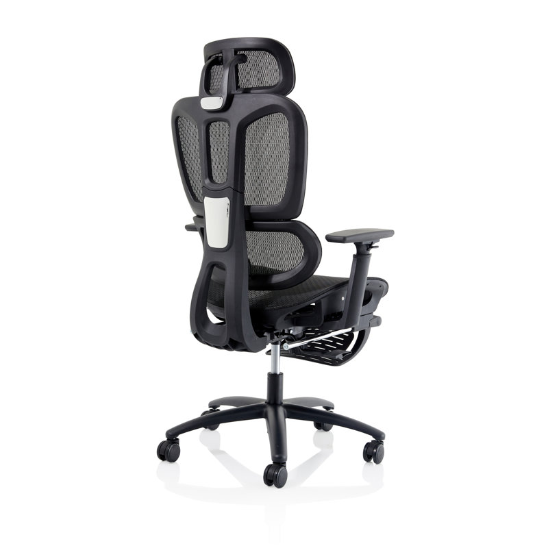 Lynnzee Office Chair with Headrest