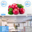 Baustista Ceiling Spotlight