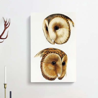 Two Owls by John Gould - Wrapped Canvas Painting