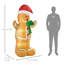 Christmas Decoration