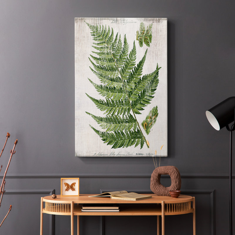Fougère de serre II - Cavas enveloppés de galerie, H 18 po x l 12 po